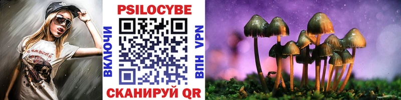 Псилоцибиновые грибы мицелий  Купить где  Чаплыгин 